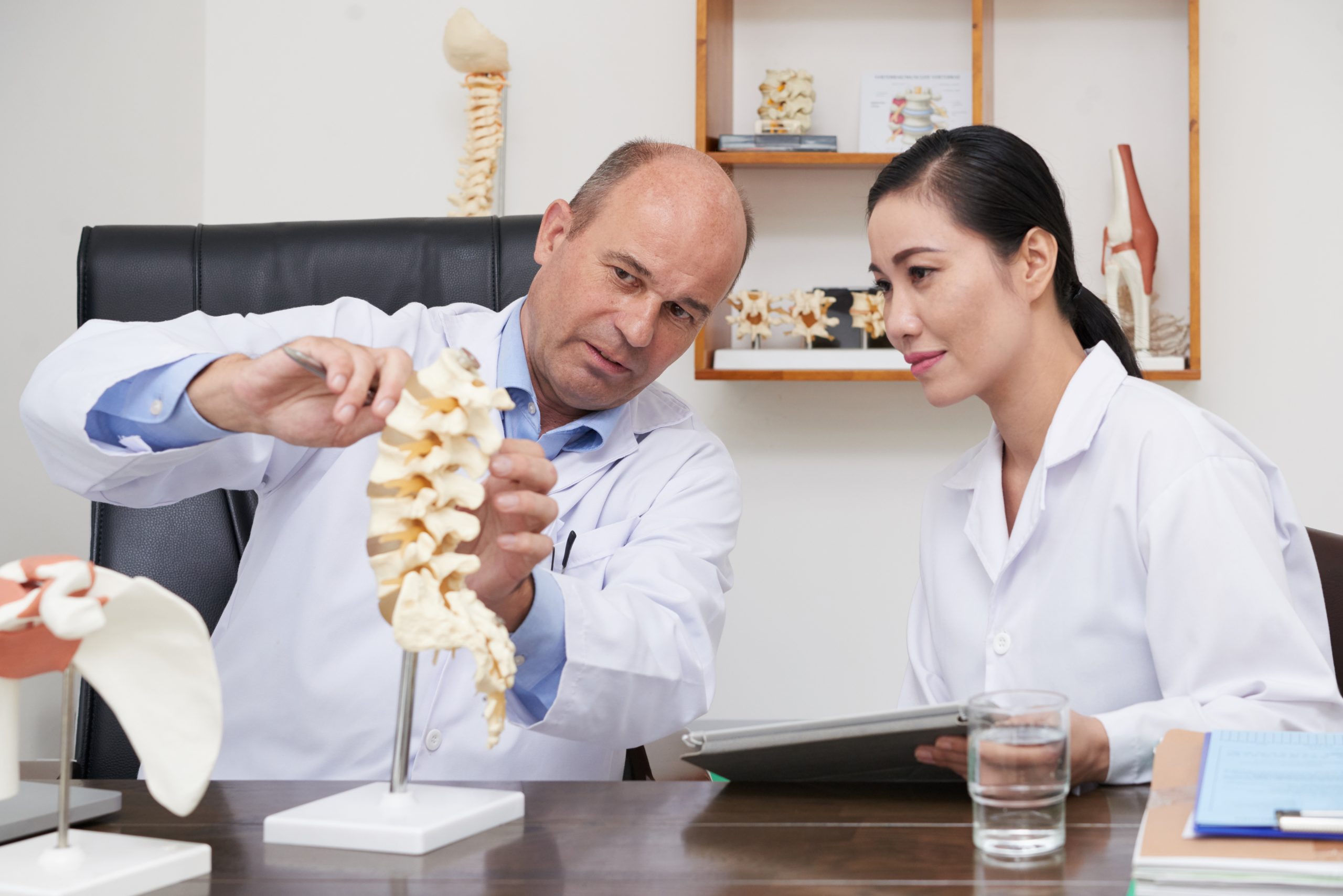 Two orthopedic specialists, a man and a woman, examining a model of a human spine.